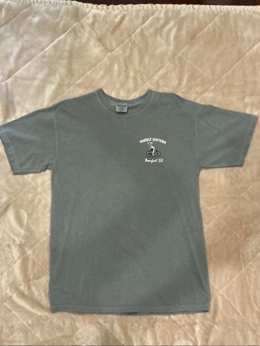 Harley-Davidson Gray Short Sleeve Tee with Chest Motorcycle Graphic